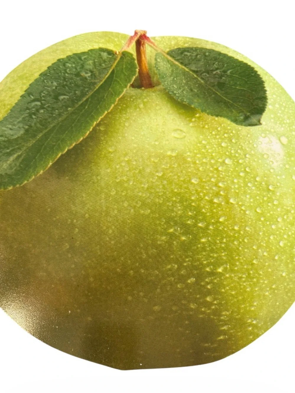 Pimpernel Placemats & Coasters Vintage TableMates Green Apple Set of 4 NIP